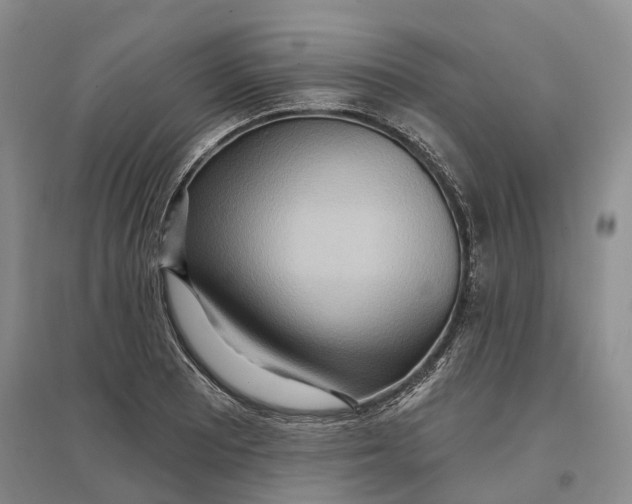 X0000096691081200802261534