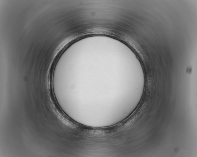 X0000096691082200802261534