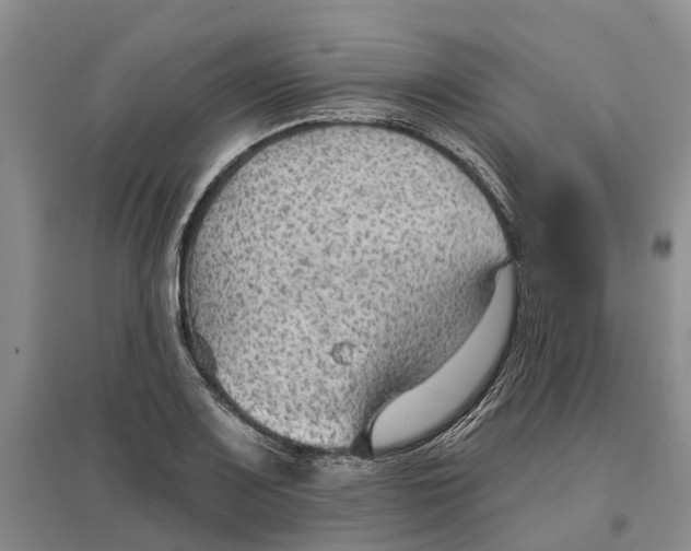 X0000096691083200802261534