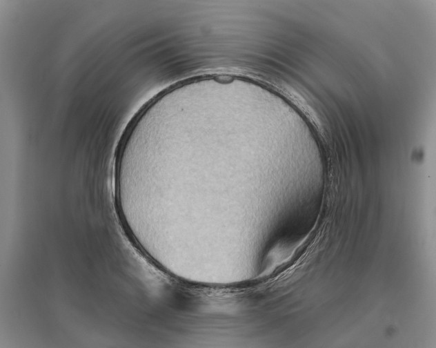 X0000096691084200802261534