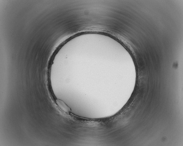 X0000096691085200802261534