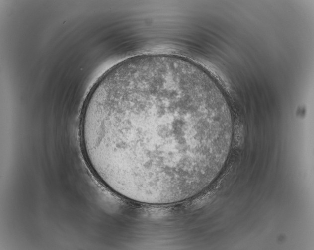 X0000096691086200802261534