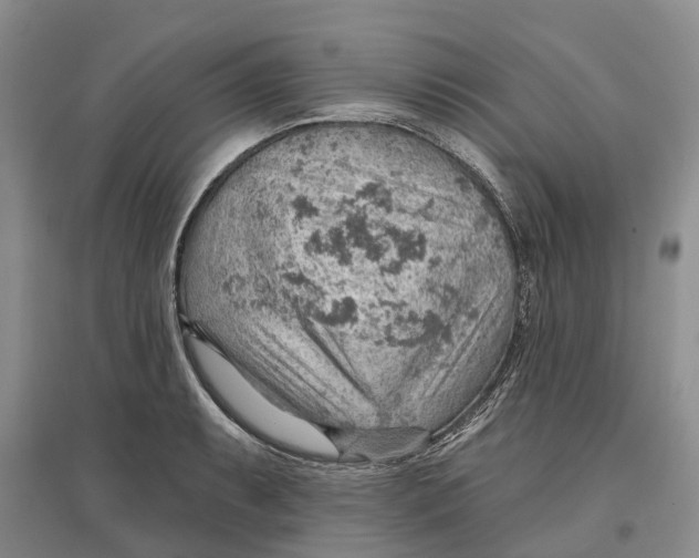 X0000096691087200802261534