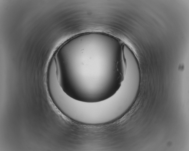 X0000096691088200802261534