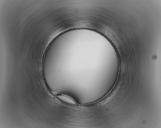 X0000096691089200802261534