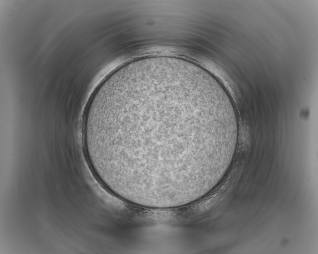 X0000096691090200802261534