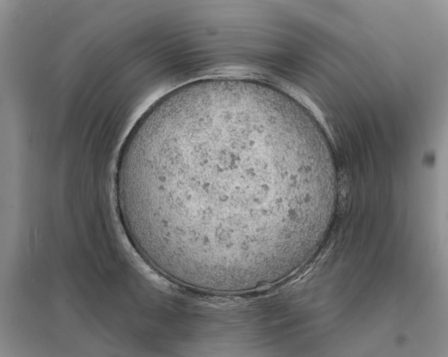 X0000096691091200802261534