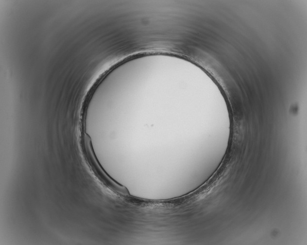 X0000096691093200802261534