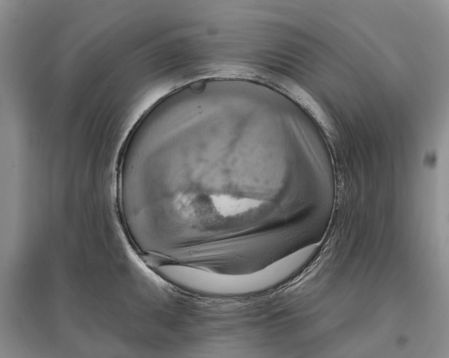 X0000096691095200802261534