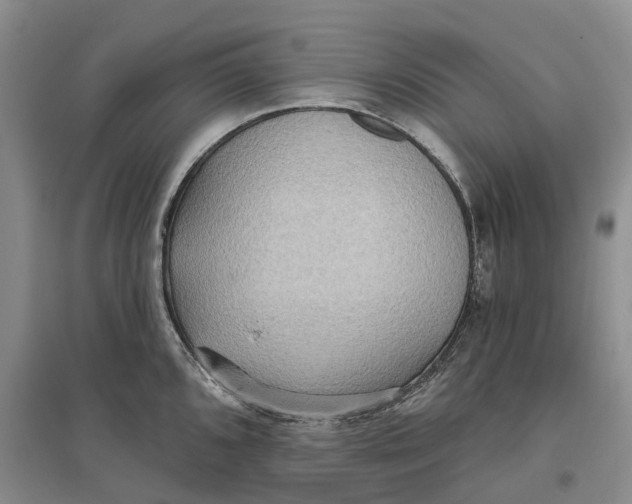 X0000096691096200802261534