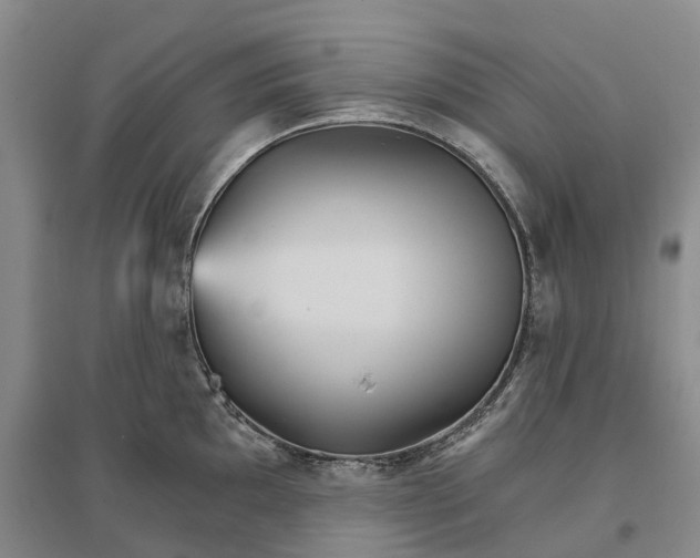 X0000096691097200802261534