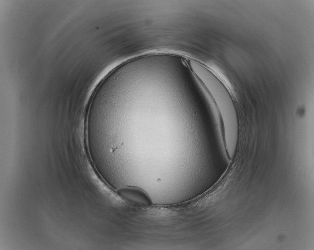 X0000096691100200802261534