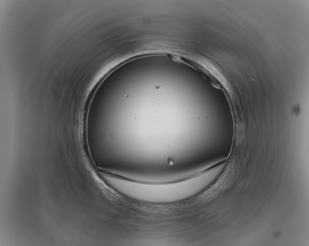 X0000096691101200802261534