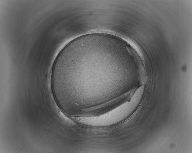 X0000096691102200802261534