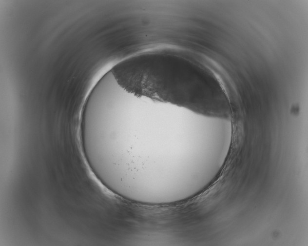 X0000096691103200802261534