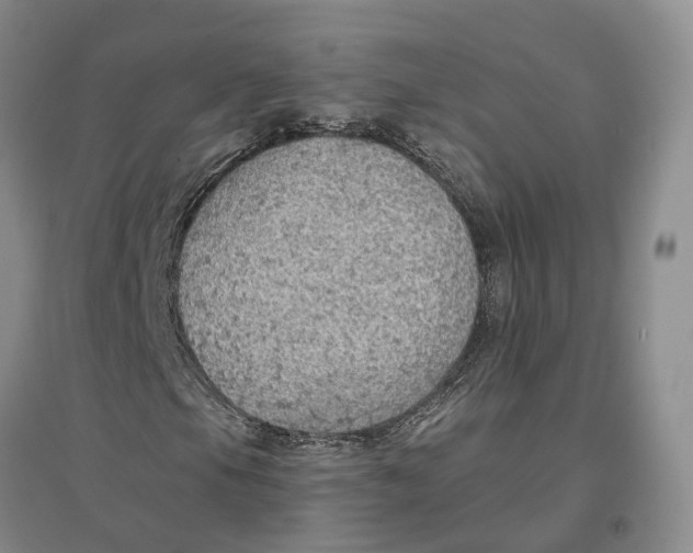 X0000096691105200802261533