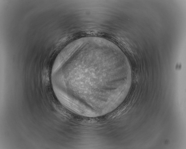 X0000096691106200802261533