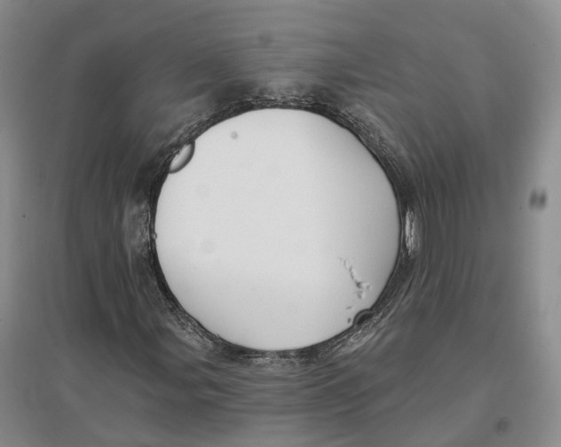 X0000096691107200802261533