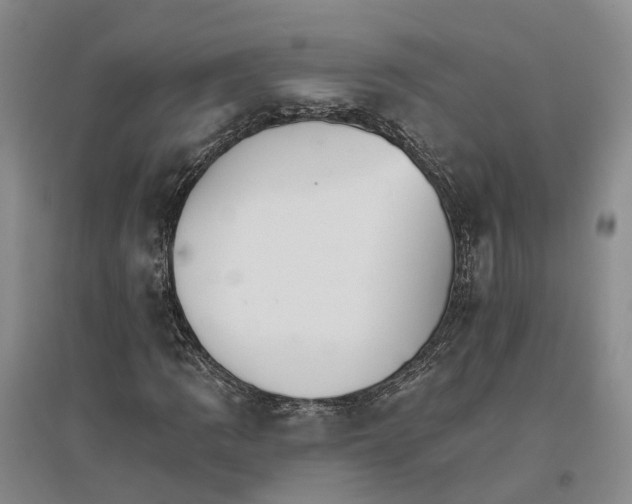 X0000096691109200802261533