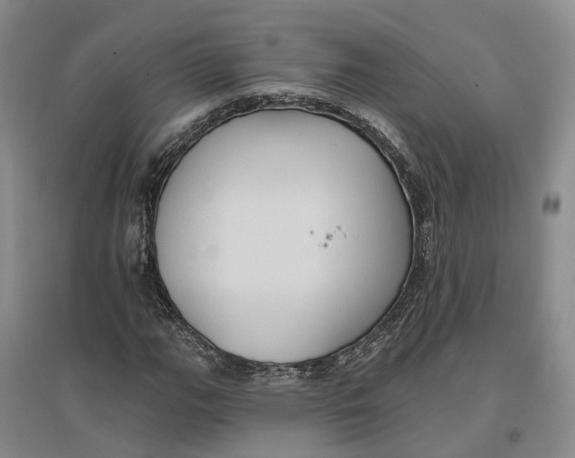 X0000096691111200802261533