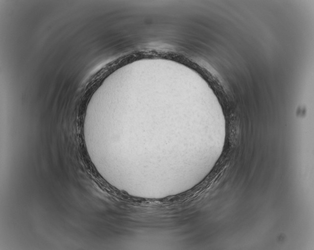 X0000096691112200802261533