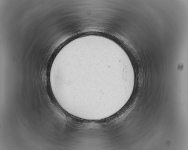 X0000096691113200802261533