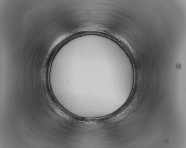 X0000096691114200802261533