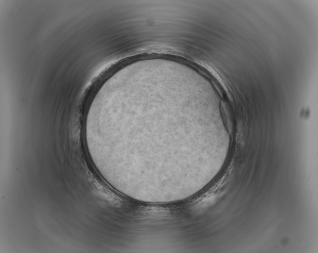 X0000096691115200802261533