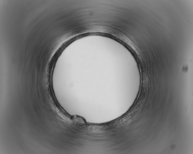 X0000096691116200802261533