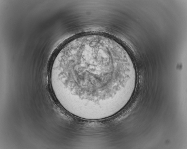 X0000096691117200802261533