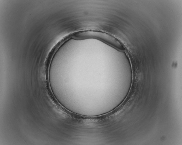 X0000096691118200802261533