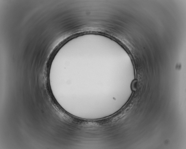 X0000096691119200802261533