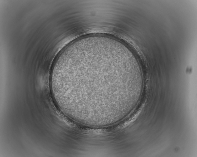 X0000096691121200802261533