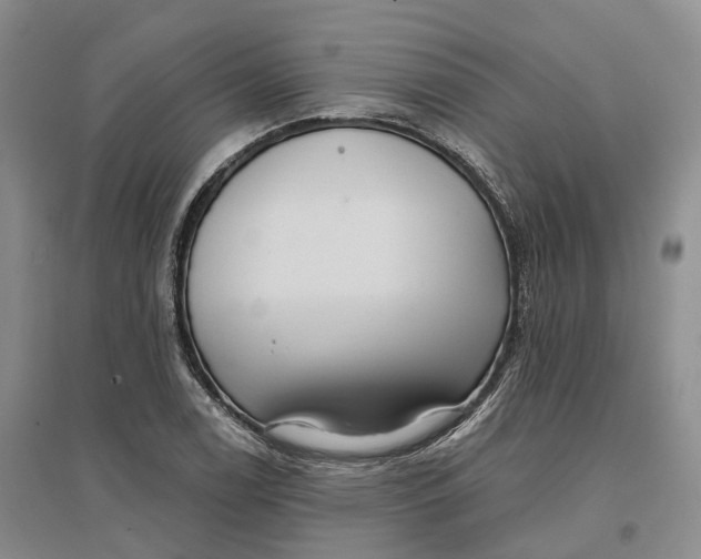 X0000096691122200802261533