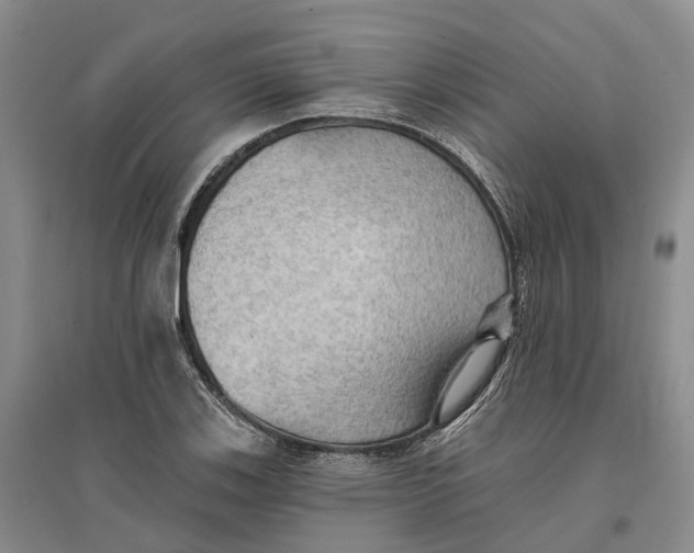 X0000096691123200802261533