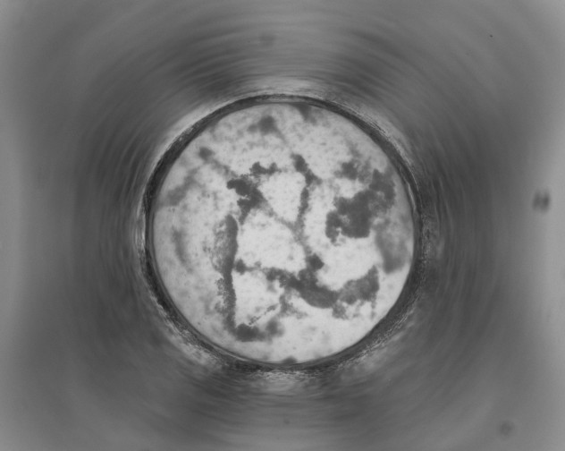 X0000096691125200802261534