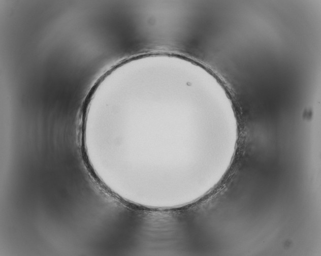 X0000096691126200802261534