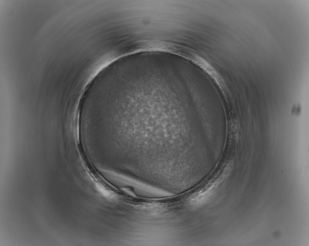 X0000096691127200802261534