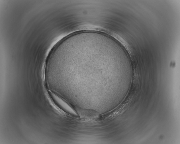 X0000096691128200802261534