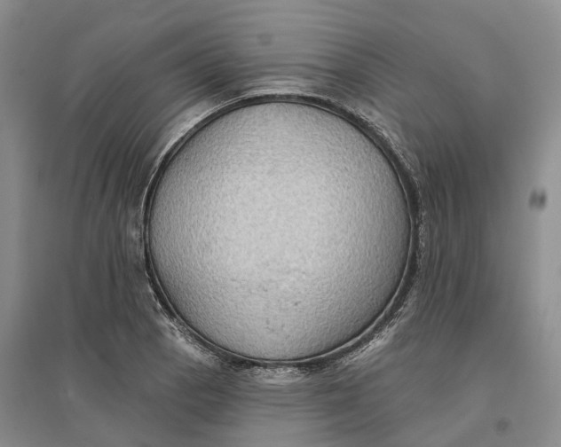 X0000096691129200802261534