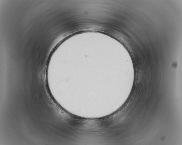 X0000096691130200802261534