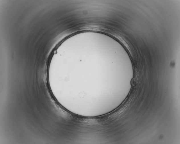 X0000096691131200802261534