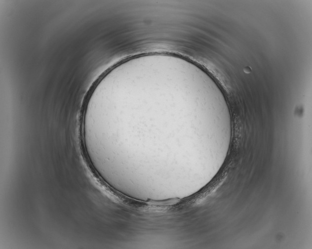 X0000096691134200802261534