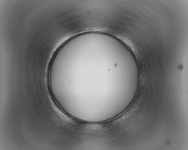 X0000096691135200802261534