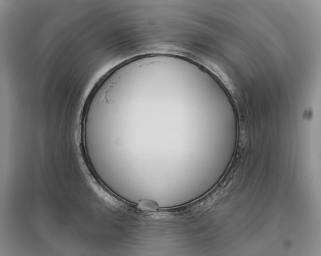 X0000096691136200802261534