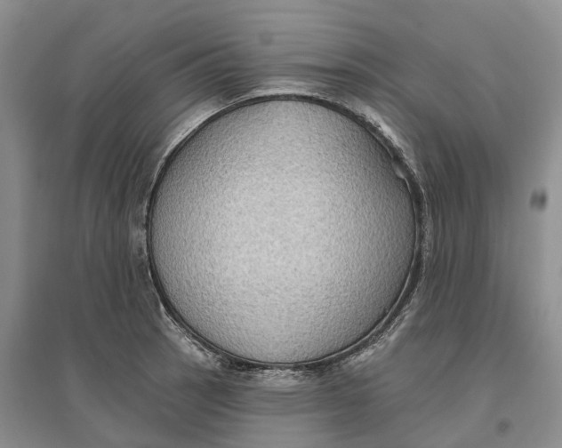 X0000096691137200802261534