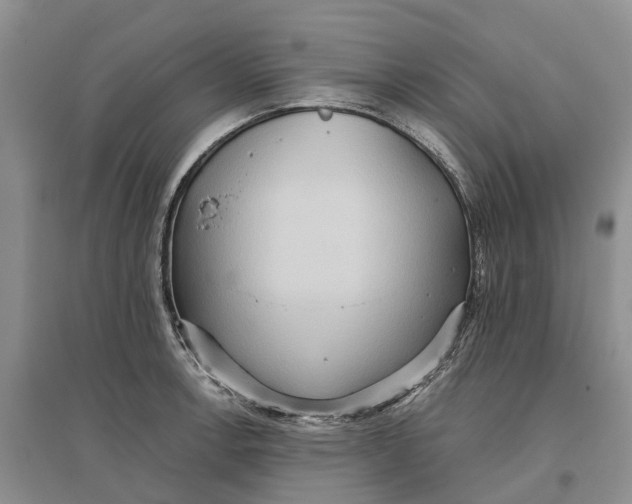 X0000096691138200802261534