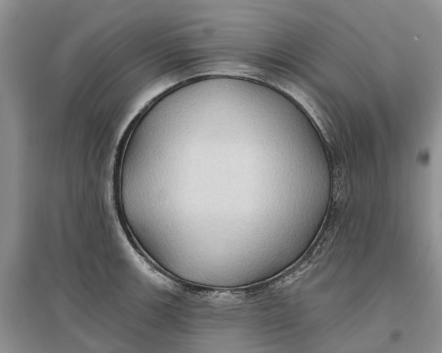 X0000096691139200802261534