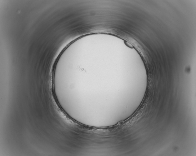 X0000096691140200802261534