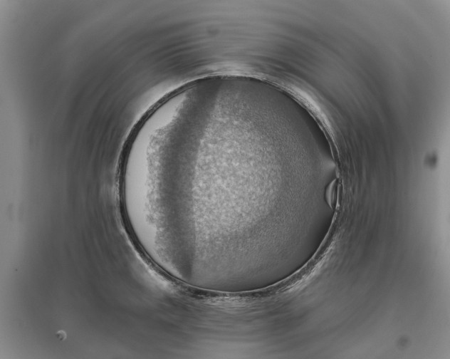 X0000096691141200802261534